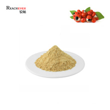 China Manufacturer Supply Pure Guarana Extract Natural Caffeine Powder Price in Bulk